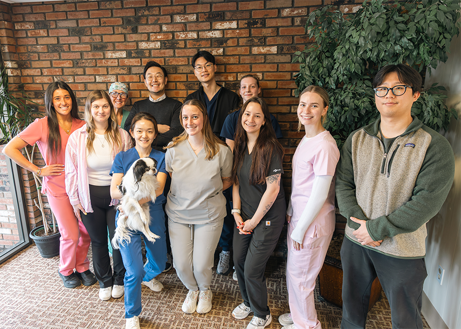 The Ipswich Bay Dental team together